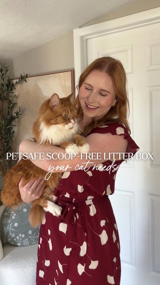 Buh, BYE 👋 SCOOPING LITTER because I have a @petsafe ScoopFree Self-Cleaning Litter Box that Simba 🐈 LOVES (and I do too!!) #petsafe #scoopfree #gifted #catlitterbox 

self cleaning litter box, scoop free litter box, best litter box for cats, self cleaning litter box for cats, pet safe litter box, orange cat, scoop free litter box from petsafe