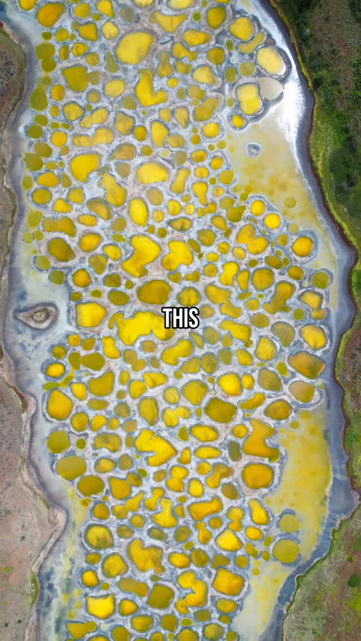 #AD Have you ever seen this!? 

This is the Spotted Lake in Osoyoos, British Columbia and it is ranked one of the most unique places in the world. We took a road trip in the Ford Bronco®️ Badlands®️ (its Baja Mode was perfect for handling Canada’s only desert) to finally reach this spot, and it was well worth it! 

Save this for your next trip to Canada! 

#TeamFordCanada @fordcanada