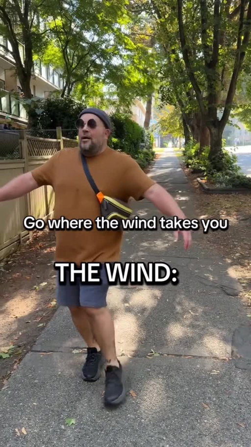 Oh no, whoops, the wind took me!