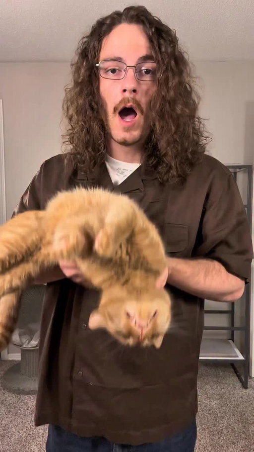 Orange cats aren’t afraid of anything. Except this. Also yes I left the tags on my shirt because idk if I want to return it. Now it’s covered in cat hair though. Also come meet nanaki and me at the @cfacats cat expo in Cleveland, OH Oct 11-12 #orangecat #catsofinstagram #orangecatsofinstagram #orangecatbehavior #orangeflavoredcat #cat #catdad #catlovers #orangecatsarethebest #funny