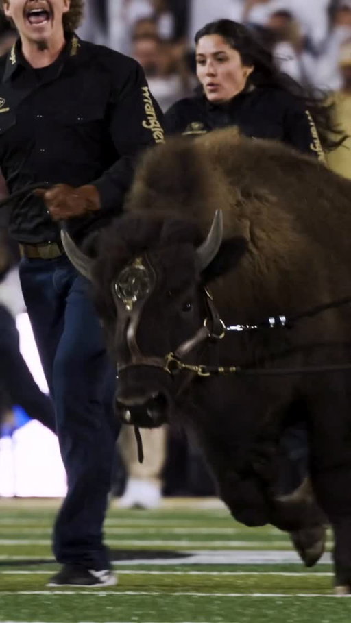 Run Ralphie Run.