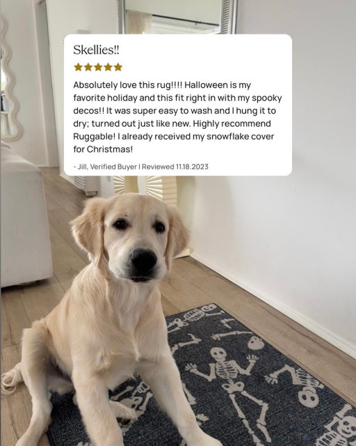 Skellies on the rug. A golden on the floor. And five stars from Jill. What more could we want?