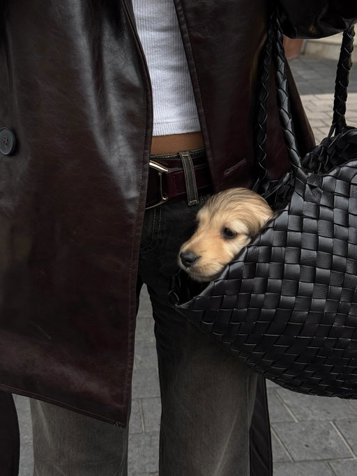 meet Frankie!🤎first 24hrs in London