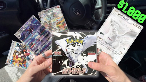 Day 170 Spending my Life Savings Trying to Pull my DREAM Pokemon Cards #pokemon