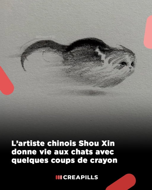 L’artiste chinois @shouxin13141 transforme quelques traits en portraits de chats pleins d’émotions. Pas de détails superflus : juste un crayon, du vide et une maîtrise totale. Chaque regard, chaque courbe capte un instant de vie… et ça suffit à nous émouvoir 🐱