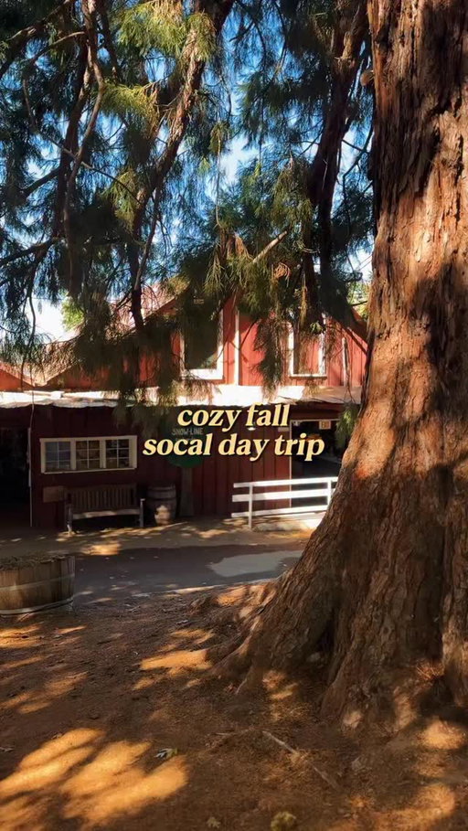 apple picking, apple pie, & apple cider! 🍎🥧🍁 go on the weekdays and early in the morning if you can!

#oakglen #applepicking #fallactivities #socal #dateideas