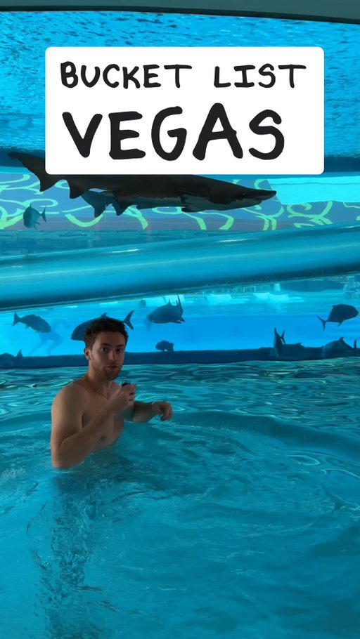 Not… this Vegas. 👀 PART 2!!
-
Vegas’s biggest budget deals EVER just dropped now, head to the 🔗 bio to learn more
——————————
📢 [ΡARTNЕR] Thank you @vegas for making this video possible! #VegasPartner
——————————
The best things to do in Las Vegas, on a budget, and for free. Save this budget 24 itinerary for later! 💯 
(*All activity info in this video is as of September 22, 2025*)
#travel #bucketlist #vegas #MeanwhileinVegas