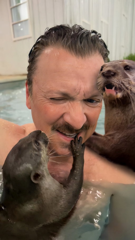 Swimming with otters!
Asian small-clawed otters love the pool as much as I love them!

#Otters #AsianSmallClawedOtters #AnimalEncounter #ZanesWorld #OtterlyAdorable #SwimmingBuddies