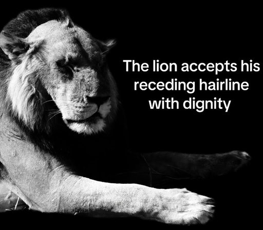 The lion doesn’t concern himself with finasteride