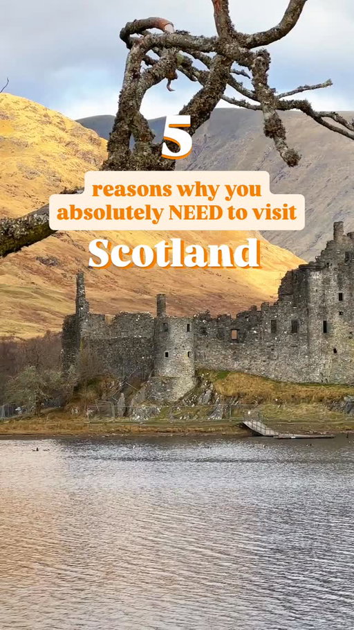 Do you really need any more convincing…? 👀 Happy #Coosday Tuesday! 🏴󠁧󠁢󠁳󠁣󠁴󠁿💙

#Scotland #ScotlandTravel #ExploreScotland