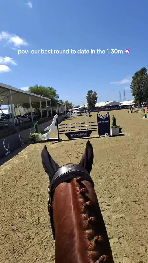 if only you could see my permanent smile while riding this amazing horse of mine 🦄🧡 so so proud of Ruby, he was a star all week!!

#equestrian #equestrianlife #equestriansofinstagram #horsetok #horsegirl #adultammy #hunterjumper #horsesofinstagram #horsejumping #horseshow #showjumping #horseshowlife #horselover #povride