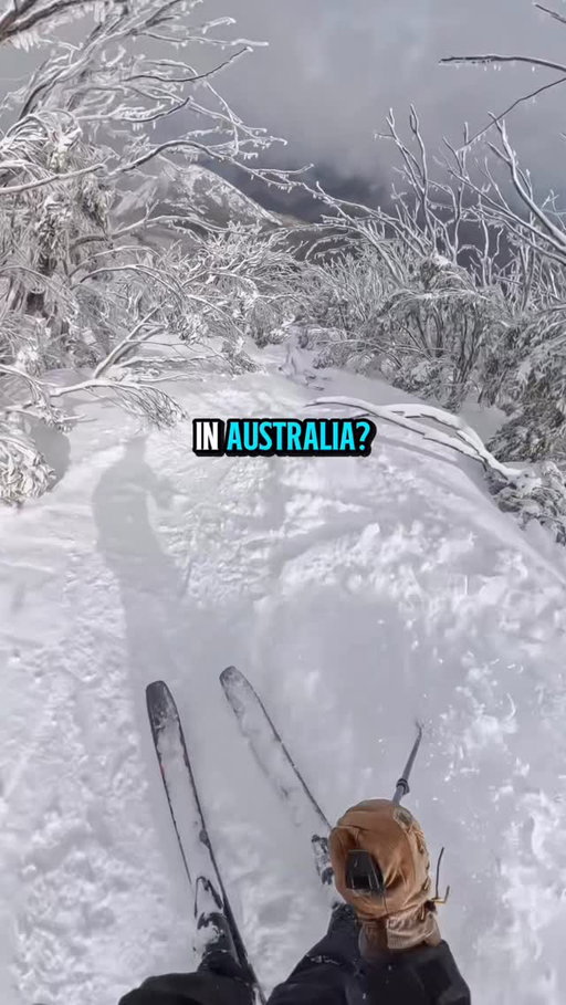 Have you skied in the summer? If not, do you plan to make a trip?

#ikonpass #adventurerunsdeep #mtbuller #thredbo #ski #skiing #snow