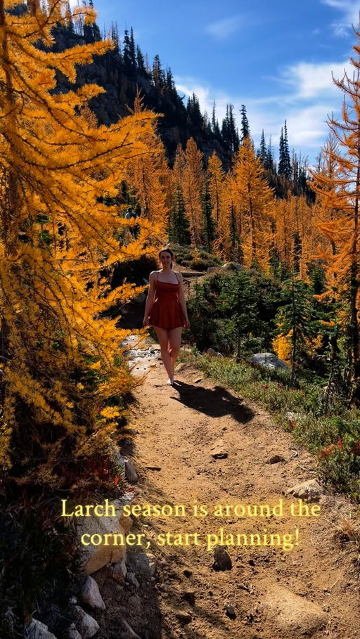 Larch season is the best season? #seattle #hiking #cascades #northcascades #fyp #pnw #washington