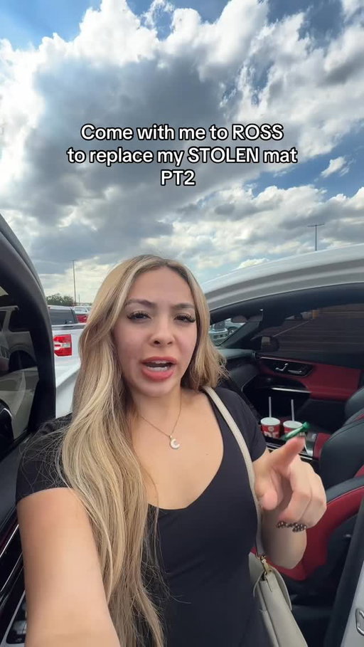 Come with me to Ross to RE BUY  my STOLEN MAT PT2 TikTok- Michellepaaz #shopping #foryou #rossfinds #shopwithme