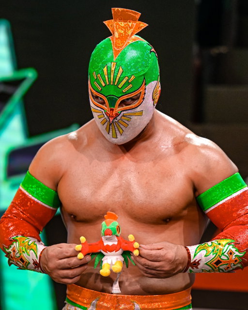 ¿Eres Team Hawlucha o Team Machamp? 💥#LeyendasPokémonZA

---------------
Are you Team Hawlucha or Team Machamp? 💥#PokemonLegendsZA