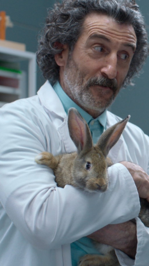 La mala leche dura solo hasta que llegan los animalitos. #AnimalNetflix llega el 3 de octubre 🐾