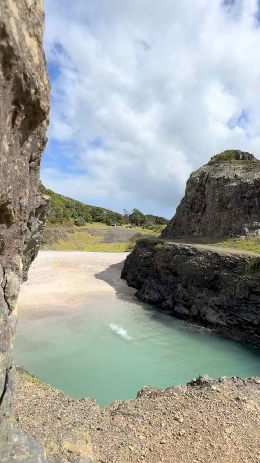 @lookatsophia just made solo camping in New Zealand look like the ultimate wilderness dream ⛺️🌿Tag your adventure buddy who’d love this reset! 🥾🔥

💡 Fun Fact: New Zealand has 950+ campsites, many offering lakeside or mountain views for free or under $10.

📍New Zealand