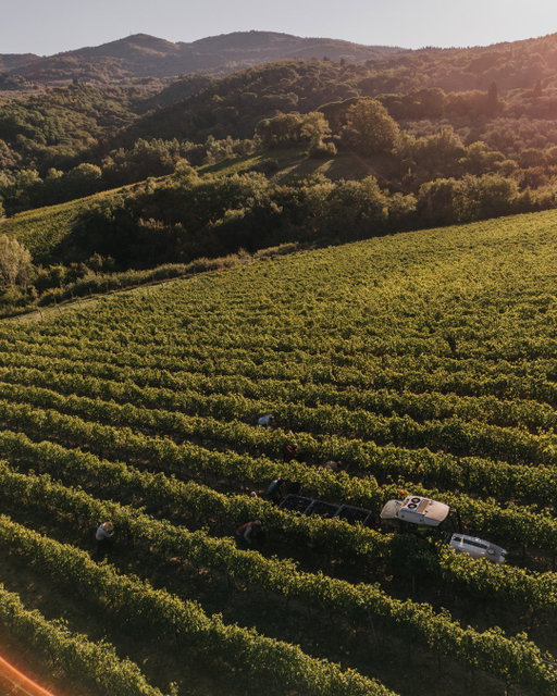 The greatest show of the season.

The true artist is the land, which gifts us its most beautiful fruit.
Cultivated with care and mastery, the grapes we select are born of passion and dedication, bringing the soul of our terroir to every glass.

•

Lo spettacolo più grande della stagione.

Il vero artista è la terra, che ci dona i suoi frutti migliori.
Coltivate con cura e maestria, le uve che selezioniamo nascono dalla passione e dalla dedizione che portano l’anima del nostro terroir in ogni calice.

#Ruffino1877