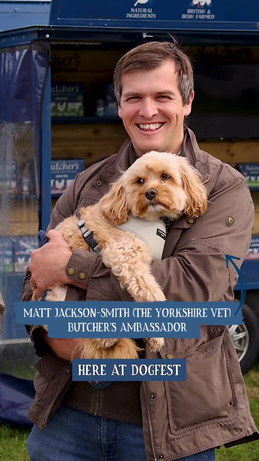 We’ve been having an amazing time at @Dog_Fest! 🐾

@Matt_thevet and his pup Harry even stopped by for their very first visit. 

Have you made it to DogFest yet? Drop us a comment and let us know! We’ll be at Loseley Park in Surrey this weekend – come say hi! 🐶💙

#ButchersDogFood #DogFest #DogFest2025