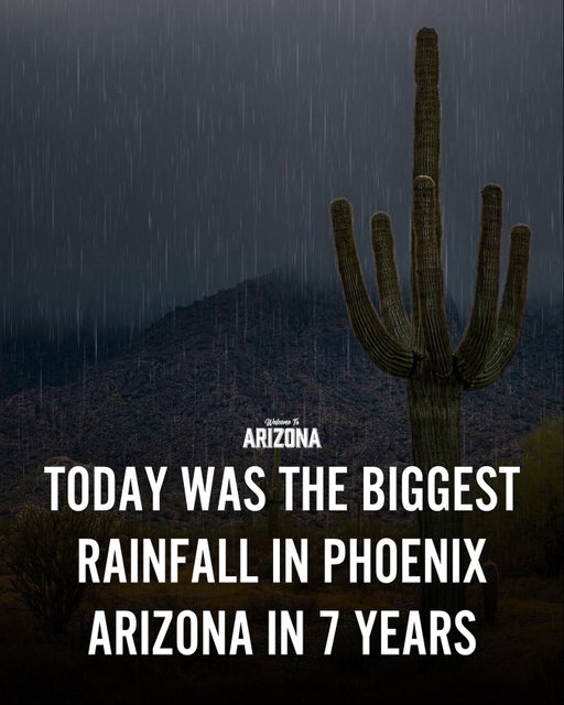 We’re going to tell our grandchildren about this day 😭🌧️ Phoenix Sky Harbor recorded an astonishing 1.64” of rain today, the most in a single day since 2018! Several incidents occurred throughout the city of Phoenix, including flash floods, submerged vehicles and traffic jams. Did you experience today’s historic rainy day? 😮 

(📸: @nealsummerton )

#welcometoarizona #phoenix #weather #forecast #rain #monsoon #flashflood #viral #2025 #arizona