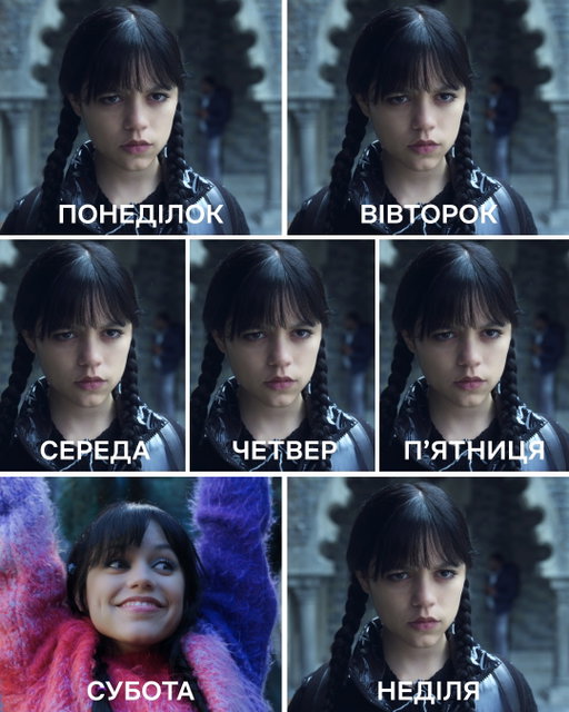 🌑🌑🌑🌑🌑🦄🌑