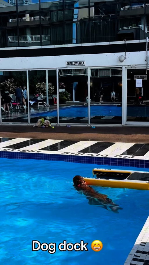 Thank you to the @toronto_humane_society for setting up this pool pawty. And of course, @radissonblutoronto for hosting. 

See you all next year. 💕 🏊