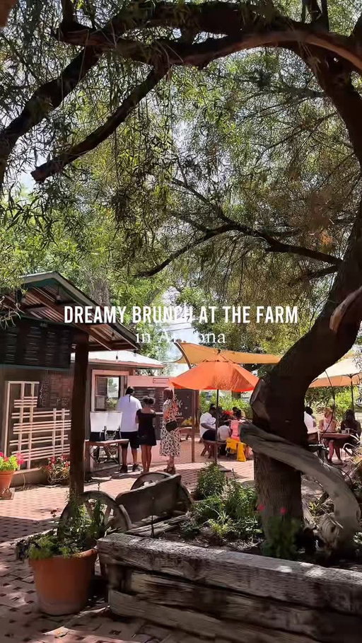 It’s the season for patio brunch! The Farm at South Mountain is a 10-acre oasis in Phoenix that blends rustic charm with modern vibes. Here you’ll find The Farm Kitchen , which is a dreamy little brunch spot tucked under the pecan trees. They offer picnic-style brunch items. Think fresh sandwiches, seasonal salads, and homemade baked goods . Perfect for a laid-back brunch date, catch-up with friends, or just a solo reset in the sun.
📍 @thefarmarizona 
6106 S 32nd St Phoenix, AZ 85042