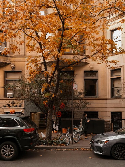 Fall in NYC hits different.

By @ethanbarber.co
.
.
.
#nycfall #fallinny #newcollection #nycphotography