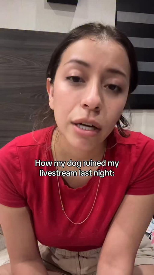 She’s crazy 😭 #amycarreon #ayymay #dogsofinsta