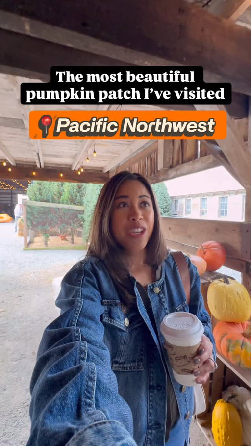 We’re in pumpkin patch season in the PNW! 🎃Personally, I think Gordon Skagit Farms is one of the most beautiful pumpkin patch farms I’ve ever visited. @gordonskagitfarms 

Gordon Skagit Farms in Mount Vernon is located about 1 hour and 10 minutes (depending on traffic) North of Seattle. I was in Bellingham for a friend’s wedding celebration so I stopped by Gordon Skagit Farms on the way back down this morning. 

📍 15598 McLean Rd, Mount Vernon, WA 98273

Save this pumpkin patch north of Seattle if you want to check out a local spot this fall season! 

Have you visited a pumpkin patch this fall season? #pumpkinpatch #pumpkinfarm #pumpkins #pnwlife #autumnaesthetic #mountvernon #pumpkinpicking #pumpkinfarm 

Pumpkin patches Seattle, pumpkin patches outside of Seattle, north Seattle pumpkin patch, Mount Vernon, Seattle influencer, Seattle content creator