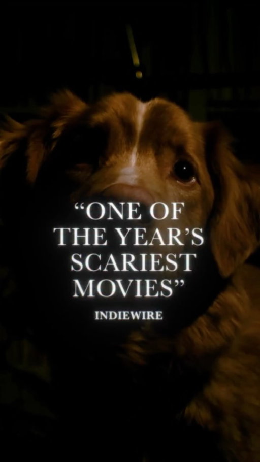 He’s ready for his close-up.

The critically acclaimed #GoodBoy comes to theaters nationwide this Friday. Get tickets now in our bio.