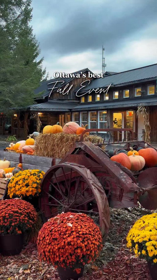 The best fall event in Ottawa 👻🍂🎃 Cider, wood fire pizza, spooky haunts, and a fall market — what more could you want? 🧡

📍 @saundersfarmfun 

@saundersfrightfest @saunderscider #saundersfarm #fallinontario #ottawafall #ontariofall #ottawa #fallfestival #frightfest (gifted)