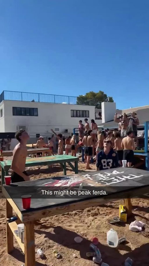 I guess they moved in packs

@nocco.usa 

#frat #college #skit