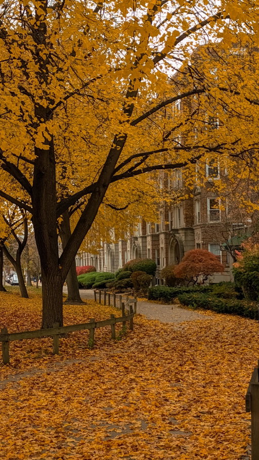 coziest time in Boston 🤍🥹🍂 Do you agree?