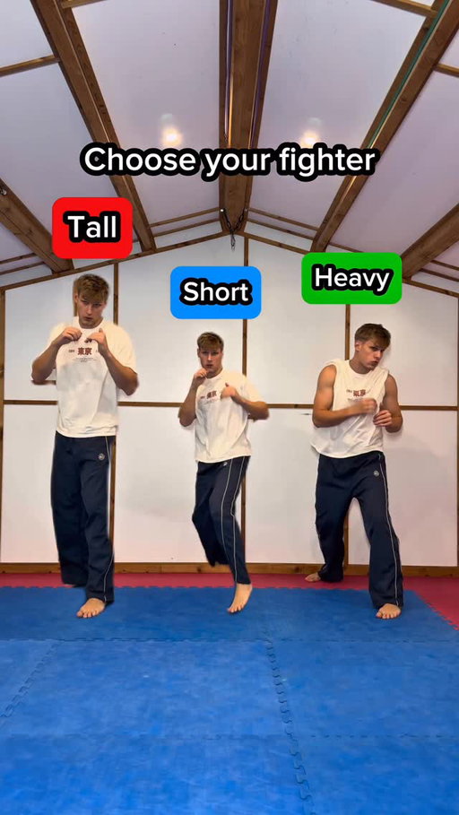 Choose your fighter…
