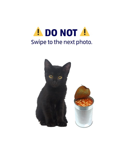 We said don’t swipe… 😭

You spilled our kittens’s beans. You can apologize by grabbing some replacement beans in store, at ALDI.us, or through Instacart, DoorDash or UberEats. You’ve gotta make this right.