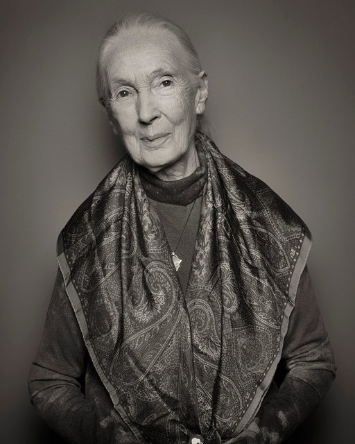 Jane Goodall, the global icon, world-renowned primatologist and conservationist, has died at 91.
 
Born in 1934, Goodall’s love of animals began in childhood and at just 26-years-old, led her to the forests of Tanzania with no formal training. There, she transformed science forever by showing that chimpanzees use and make tools — a behavior once thought to belong only to humans.
 
Her decades of research reshaped how we understand our closest relatives in the animal kingdom and inspired generations to care more deeply about the natural world.
 
She was named a UN Messenger of Peace and a Dame of the British Empire and received countless honors for her lifelong dedication to conservation and hope for the planet.