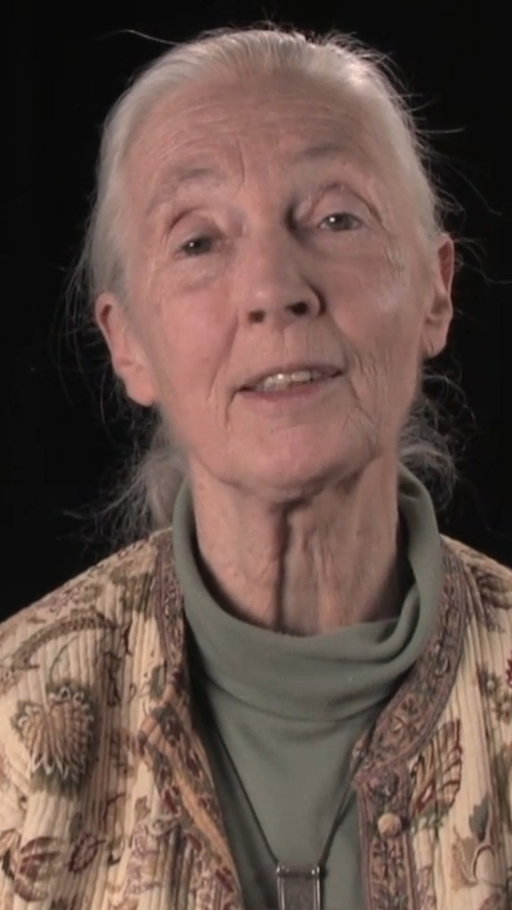 💔 Today we say goodbye to Dr. Jane Goodall — conservation icon, friend to wildlife, and voice of hope for our planet.

She showed us that protecting nature isn’t just possible, it’s our responsibility.

Thank you so much, Jane, for your hard work, persistence and passion. 🌱🐒🕊️