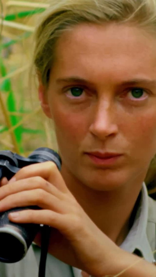 In 1960, Dr. Jane Goodall’s early fieldwork observing chimpanzees at Gombe Stream Game Reserve, in Tanganyika (now Tanzania), unveiled groundbreaking research of shared behaviors between humans and apes.
 
The Jane Goodall Institute announced on October 1, 2025, that Jane Goodall died at 91. A primatologist, conservationist, animal advocate, educator, and National Geographic Explorer, her work revolutionized our understanding of the natural world.