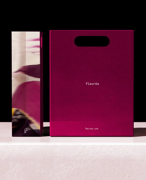 Fleuréa’s packaging by @lentildesignstudio leans into a sense of quiet drama. The deep berry-toned boxes are paired with blurred, almost ethereal floral imagery. Minimal sans-serif typography sits delicately on the front, giving breathing room to the saturated colors and abstract visuals.⁠
⁠
The design balances structure and softness. One side is all color and type, the other an immersive bloom. Together, it creates a sensorial experience before you even open the box, perfectly aligning with the product’s airy, fragrance-forward concept.⁠
⁠
Link in bio for the full article. #design #branding #linkinbio #graphicdesign #packagingdesign #thedieline #dieline #packaging