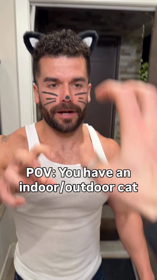 POV: You have an indoor/outdoor #cats_of_instagram #cats #catproblems #meow