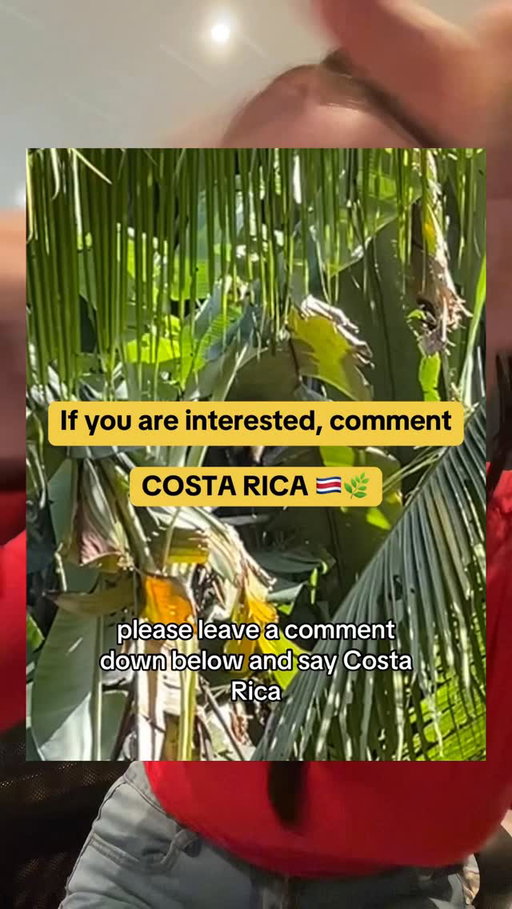 Come travel with me to COSTA RICA in MARCH 🇨🇷🌿🦥
•
•
comment down below: COSTA RICA 
If you are interested ❤️
•
•
#backpacking #TravelGram #Wanderlust #TravelAddict #TravelBlogger #InstaTravel #Globetrotter #AdventureAwaits #TravelTheWorld #WorldTraveler #ExploreTheWorld #TravelGoals #LetsGoEverywhere #PassportReady
#RoamThePlanet #TravelLife #BackpackerLife #DigitalNomad #BudgetTravel #LongTermTravel #BackpackersOfInstagram #NomadicLife #HostelLife #gapyear #femalesolotraveler #worldpackers