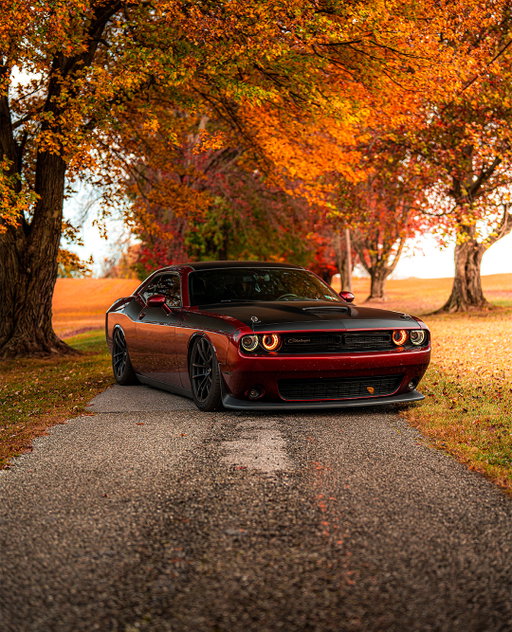 Fall air, and a wide-open throttle.

#ThatsMyDodge

📸: @__ryanwallace__

#Challenger #DodgeChallenger #ScatPack #HEMI