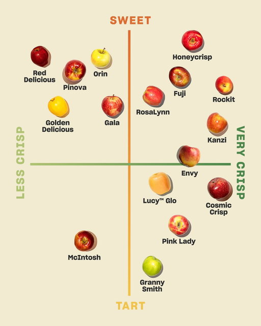 The closest we’ll get to an enneagram for apples. 🍎