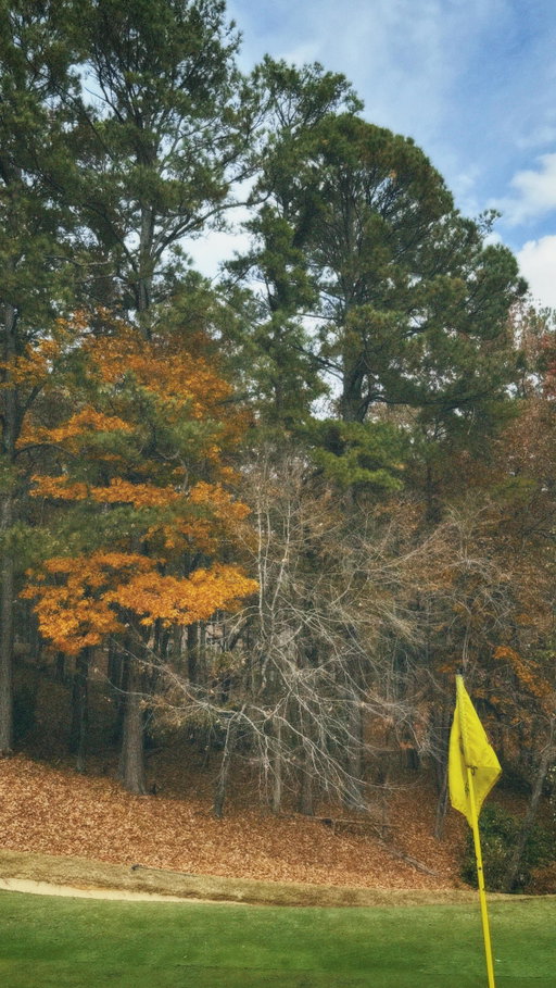 #jakedezgolf #golf #progolf #golftips #pgatour #golfcourse
