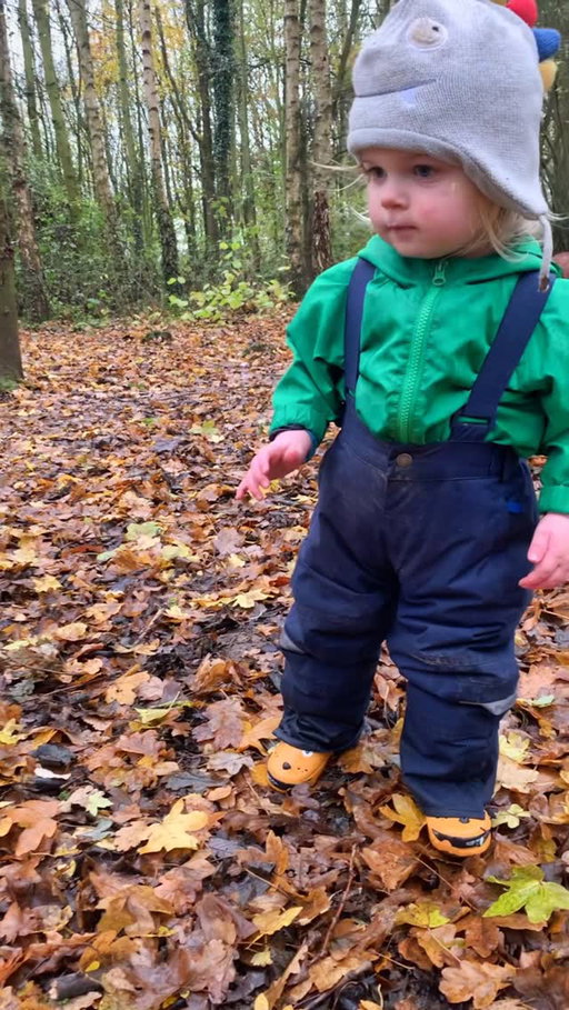 🎈 #leicestershire #leicester #woodland #adventure #autumn