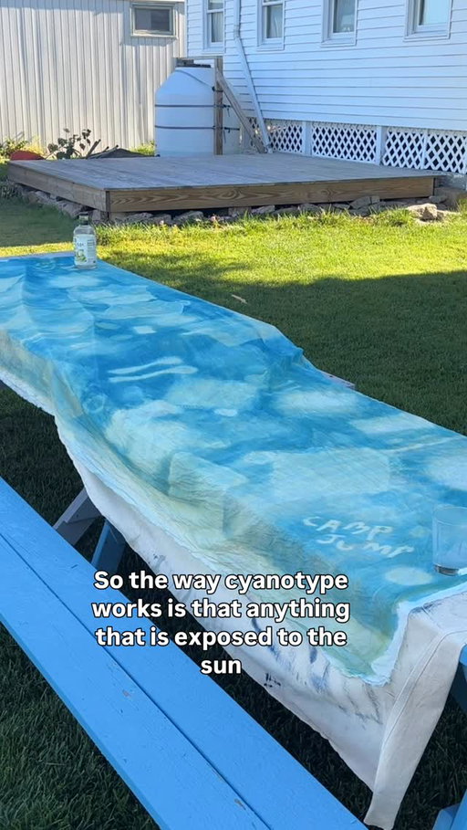 cyanotype tablecloths are the next trend im calling it