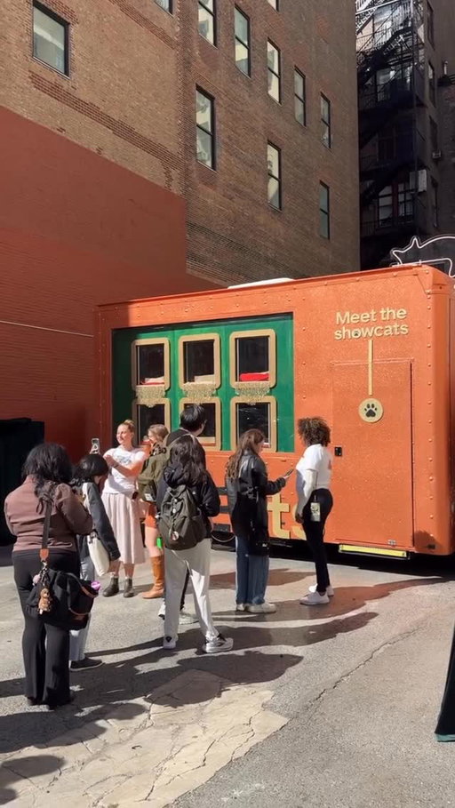 Say meow to your new bestie. 🐱✨🐾  

We partnered with @ubereats and @bestfriendsanimalsociety to bring ‘Uber Showcats’ to life, a pop-up pet adoption event helping cats in NYC, LA, and Nashville find their forever homes. Fans could cuddle (or even adopt!) a kitten, create custom charm jewelry and take away Swift-inspired merch, including her signature chai cookies.

#CNCexperiences