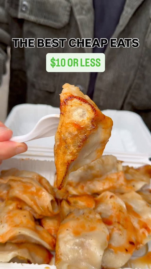 Trying the best cheap eats in New York City $10 or less 

⚡️This lineup is stacked with amazing food for a great price..only in NYC 

#cheapeats #nyceats #nycfood #nyceeeeeats #chinatown #dumplings #dominicanfood #smashburger #food #nyc  #jerkchicken #roti #queens #caribbeanfood