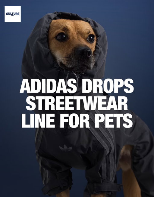 Petcore, but make it streetwear 🐾

adidas Originals just launched its second pet apparel line, exclusive to China, with matching tracksuits and windbreakers for cats and dogs. The campaign features pets posing in full “Originals” fits, and yes, they pull it off.

Would you dress your dog in a tracksuit?

Follow @culturecutwomen for exclusive original content, giveaways, and more of the good stuff you just saw.

Media via Adidas

#culturecutwomen #pets #dogs #cats